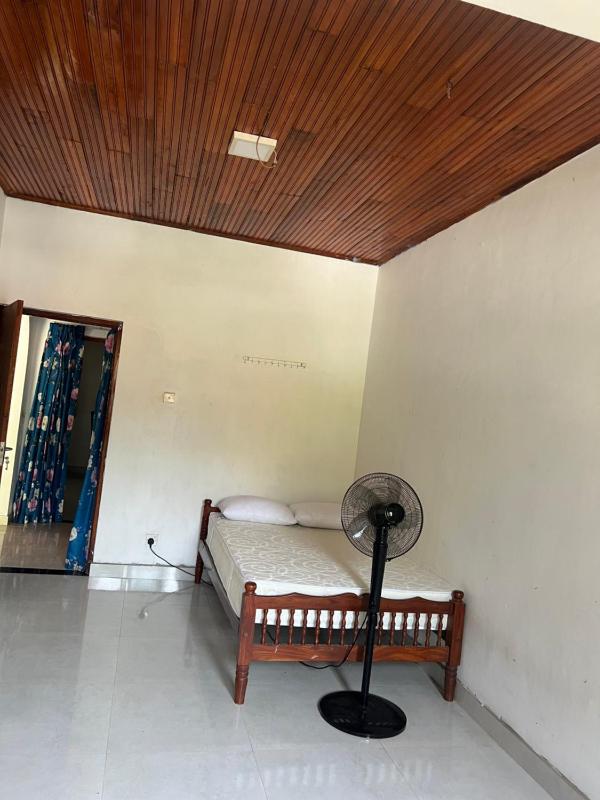 Island leisure - image 4