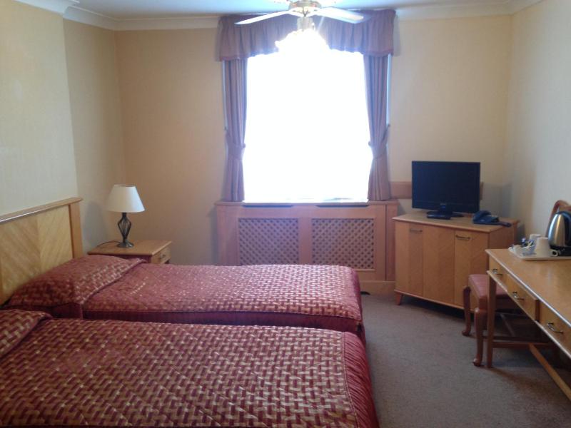 Standard Twin Room image 4