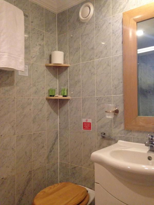 Standard Twin Room image 3