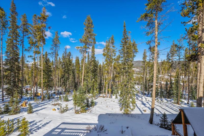 Fireside Retreat: Highlands Log Home Hot Tub & Fireplace Peak Views! - image 28