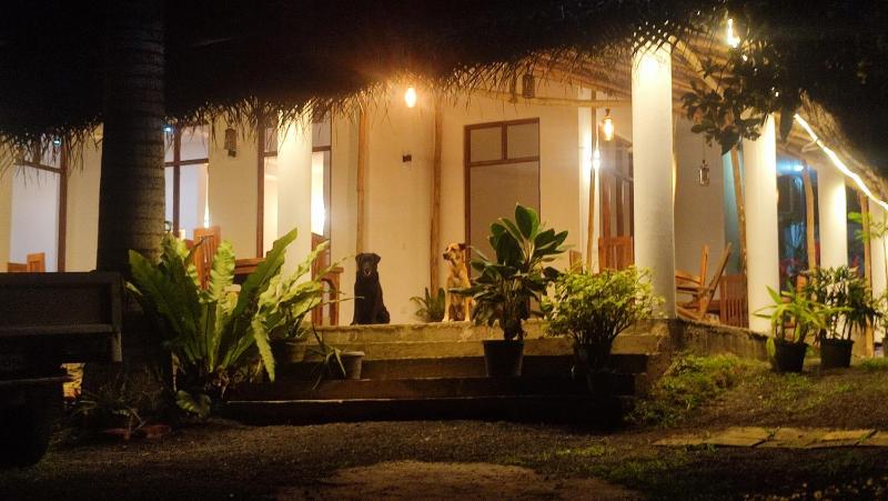 Bumba cafe & Villa - image 2