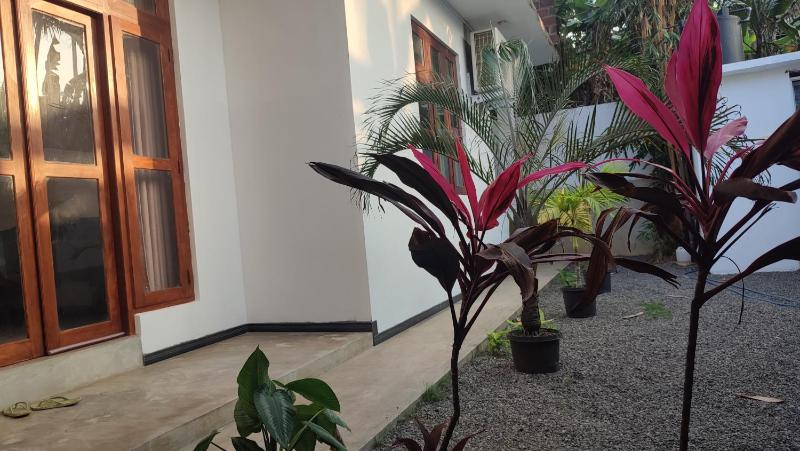 Bumba cafe & Villa - image 4