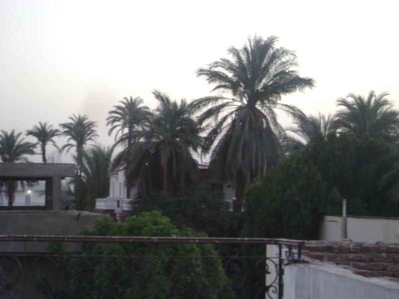 White Villa - image 7