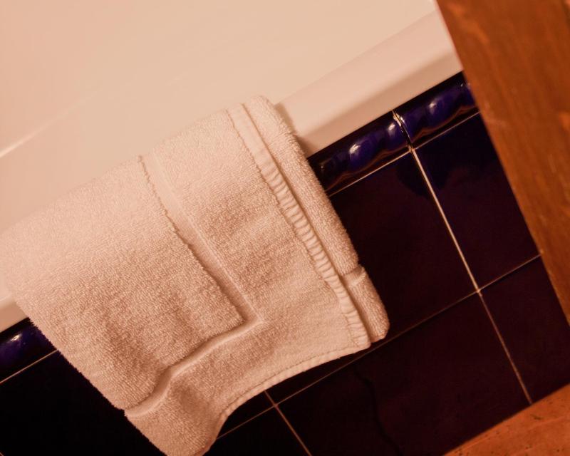 Double or Twin Room image 4