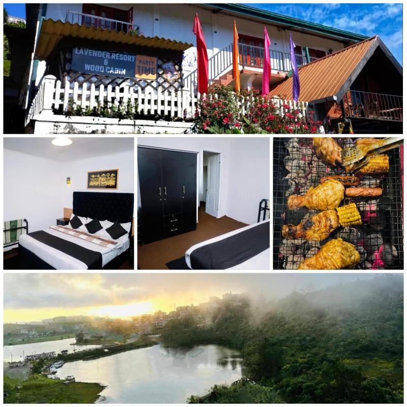 Lavender Resort & Wood Cabin - image 43