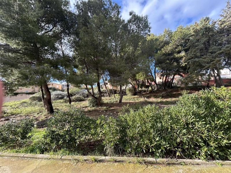 NP340-H08 Studio cabine et mezzanine Narbonne Plage - image 7