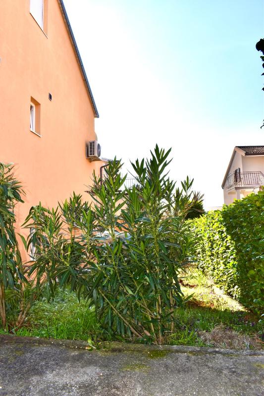 Apartmani Cassiopeia - image 18