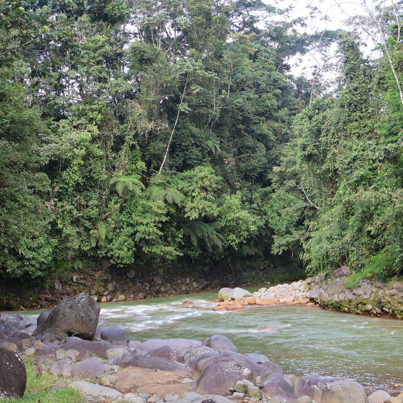 Nature retreat - image 7