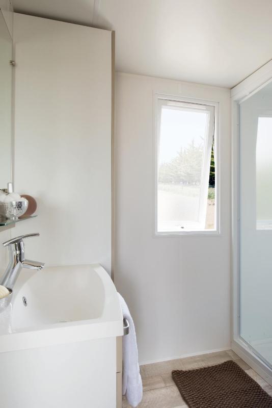 Mobile Home (2 Adults) image 3