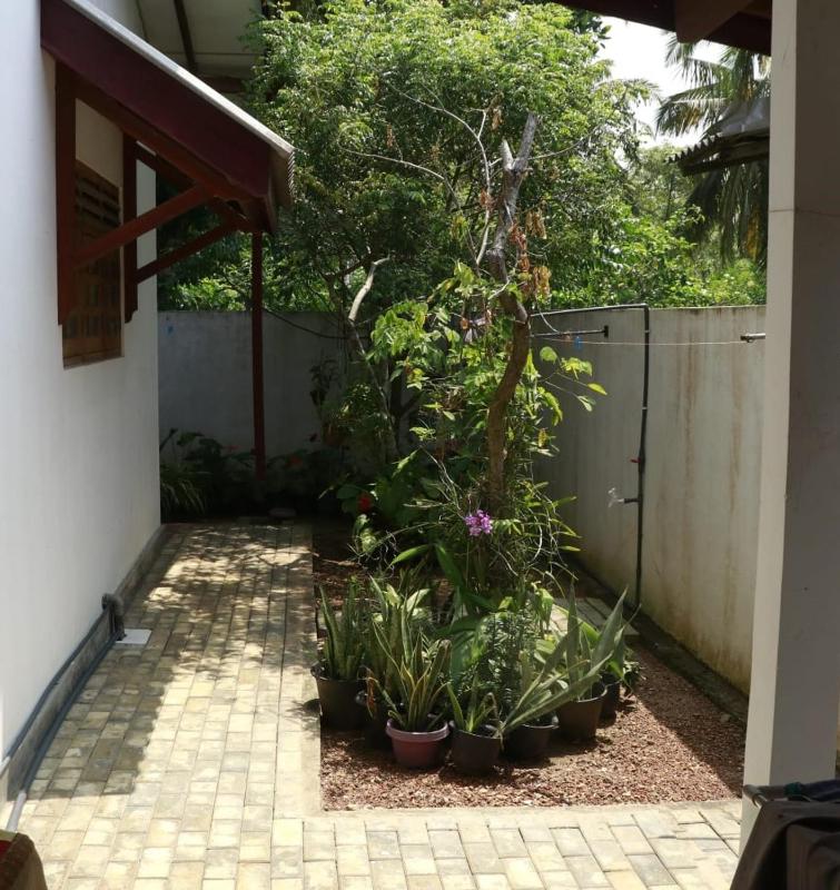 Kanchana Homestay Ahangama - image 15