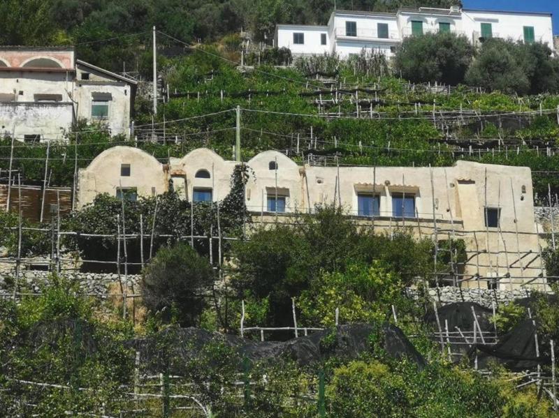 AMORE RENTALS - Villa Margherita - image 15