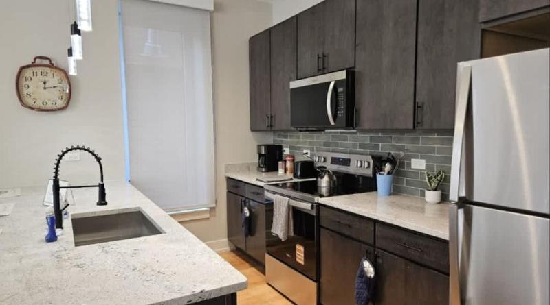 Renovated 3 Bedroom Chicago Downtown Pilsen - image 1