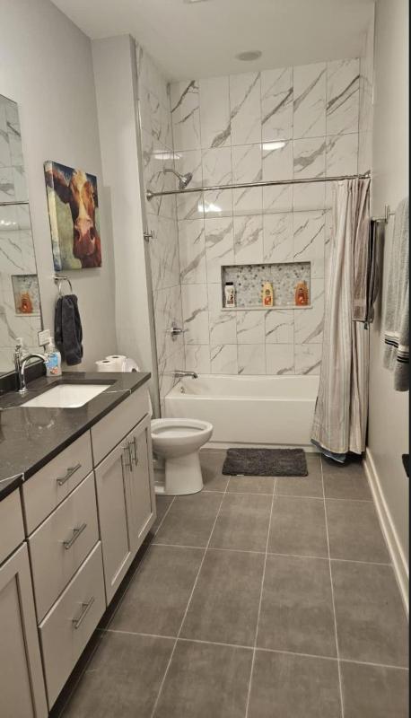 Renovated 3 Bedroom Chicago Downtown Pilsen - image 4