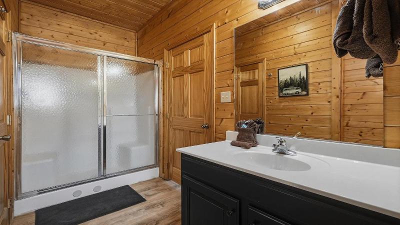 Big Bear - image 10