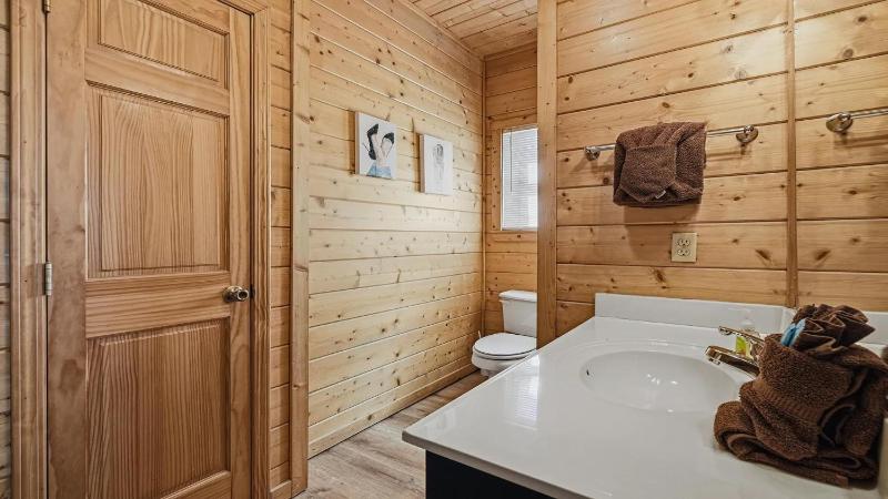 Big Bear - image 9