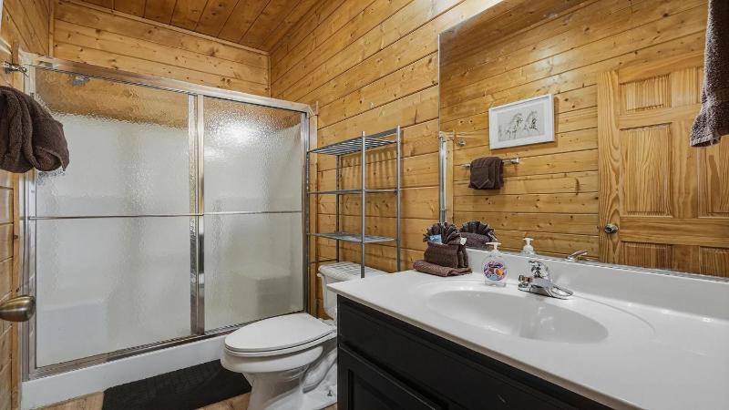 Big Bear - image 17