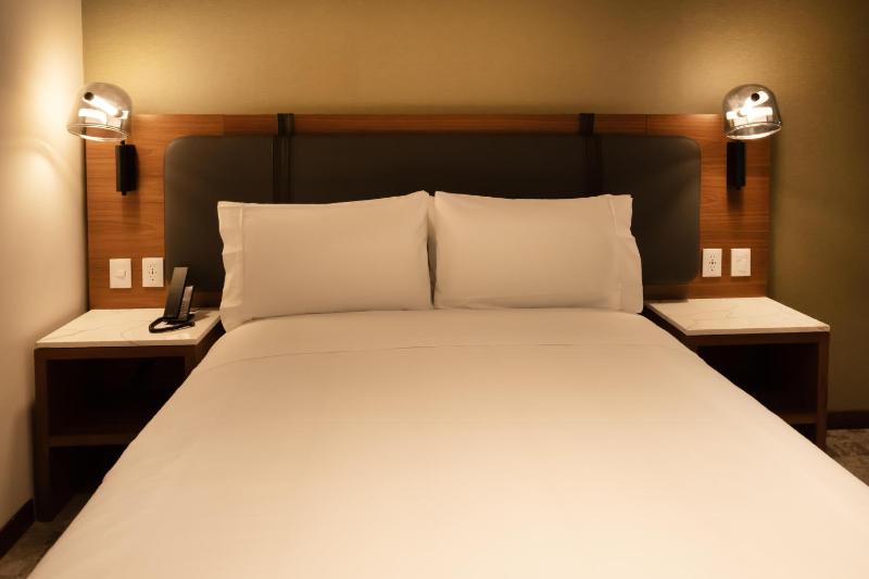 Hilton Garden Inn Mexico City Polanco - image 10