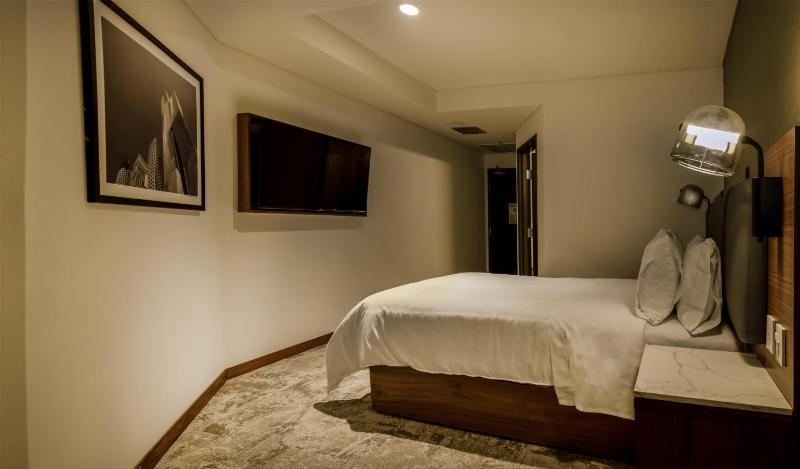 Hilton Garden Inn Mexico City Polanco - image 4