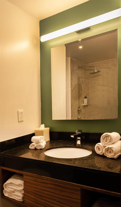 Hilton Garden Inn Mexico City Polanco - image 13