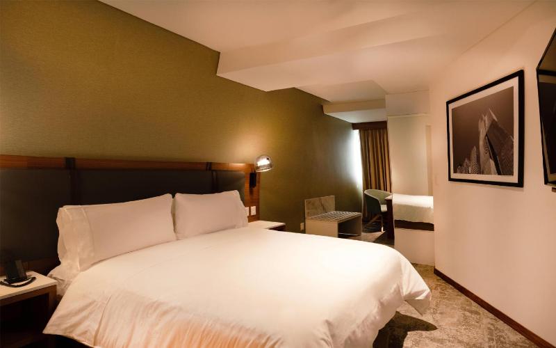 Hilton Garden Inn Mexico City Polanco - image 16