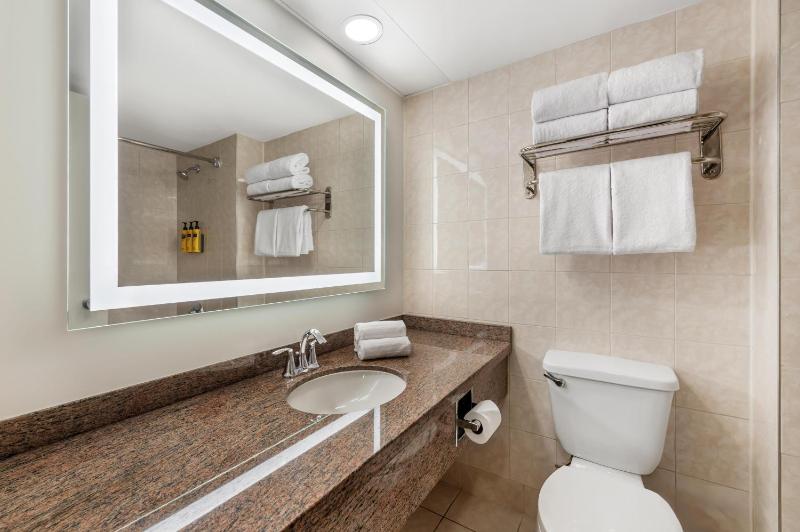Best Western Plus Ottawa City Centre - image 14