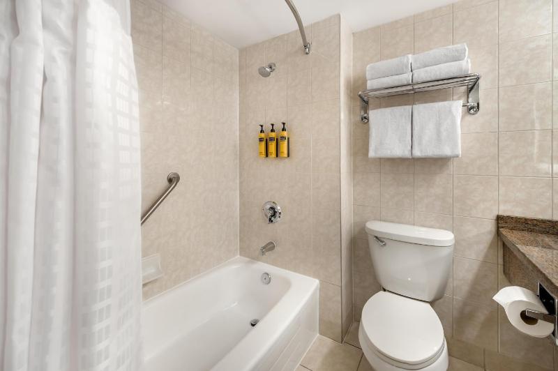 Best Western Plus Ottawa City Centre - image 12