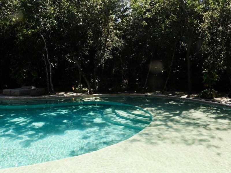 NEW! YaxxLum 2BR pool jacuzzi HoTube HeusHaven - image 39