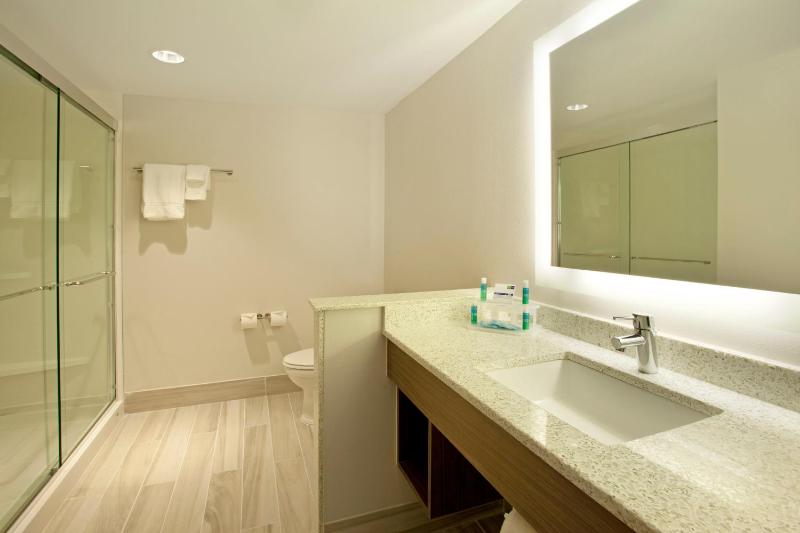 Holiday Inn Express & Suites Austin Downtown - University By IHG - image 30