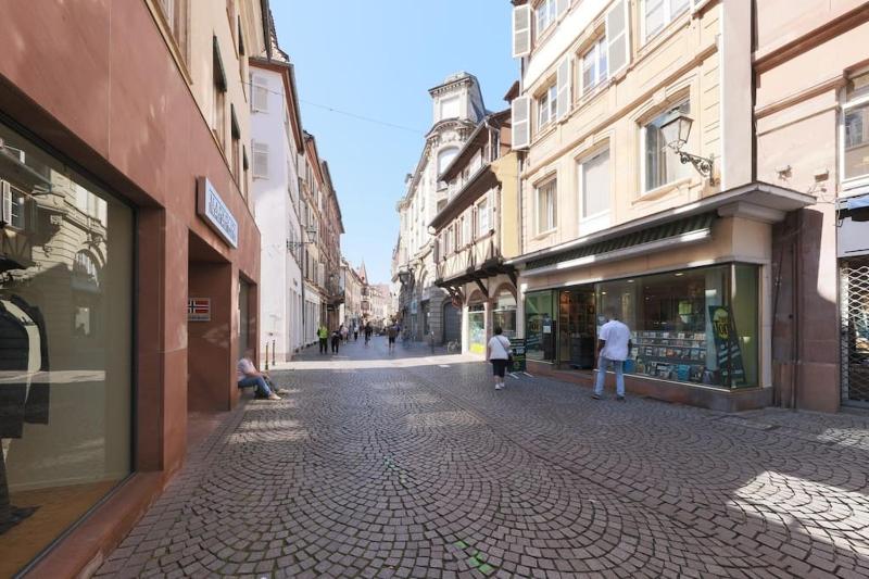 Le Nid Alsacien - Charmant T2 au centre ville de Strasbourg - image 5