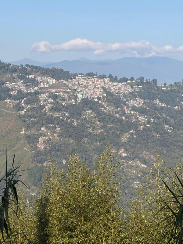 Morning bliss homestay - image 7