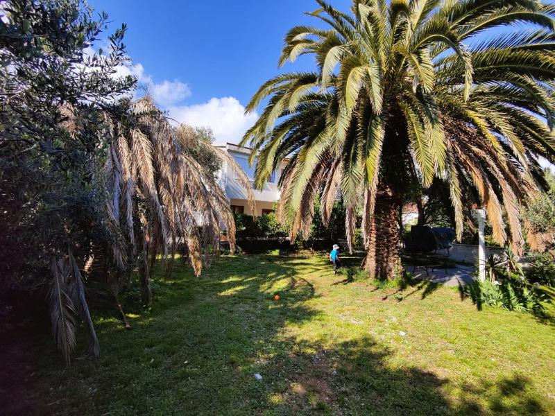Apartments Dajana - image 7