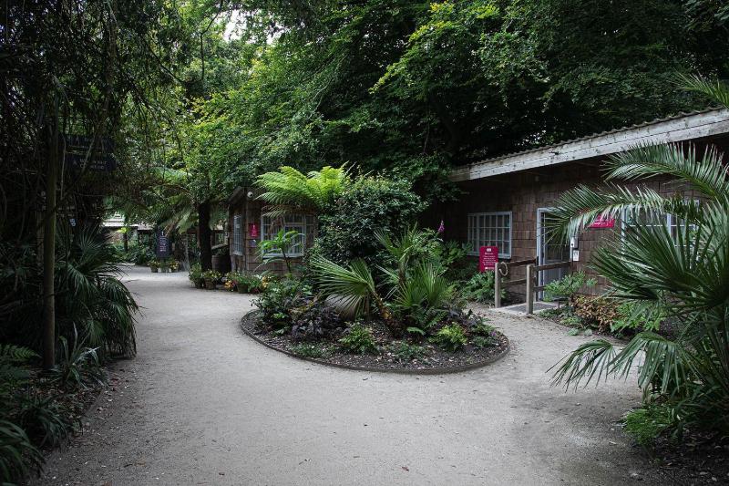 The Clock House at Heligan Gardens - image 18