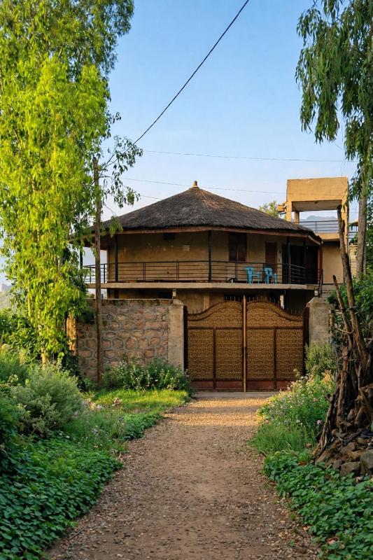 Birhanu Guest House and Tours - image 1