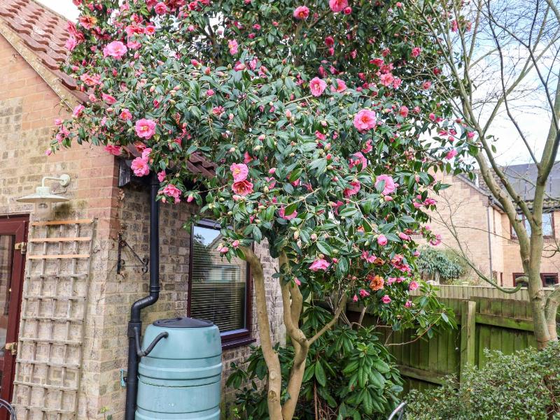 17 Demesne Gardens - image 23