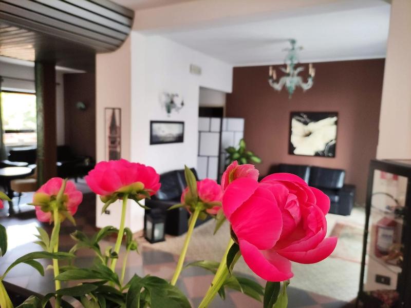Hotel Adria - image 26