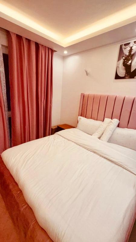 Modern Pink studio apartment in Westlands - image 9
