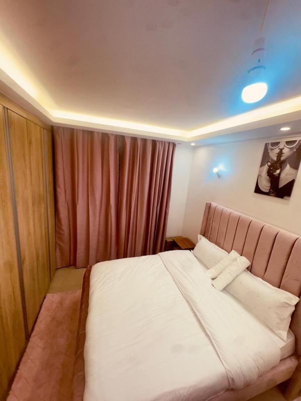 Modern Pink studio apartment in Westlands - image 3