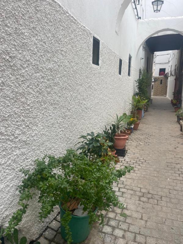 Mima house - image 12