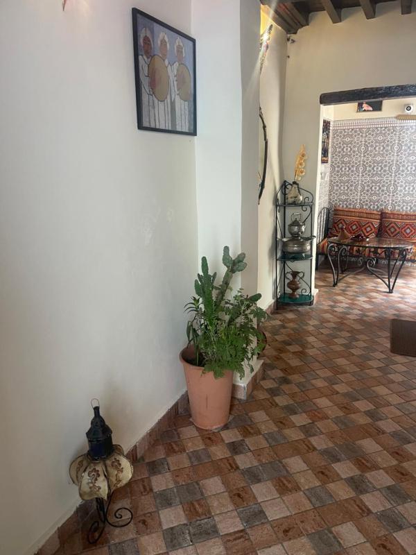 Mima house - image 14