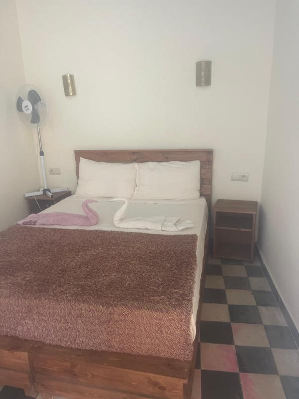 Mima house - image 7