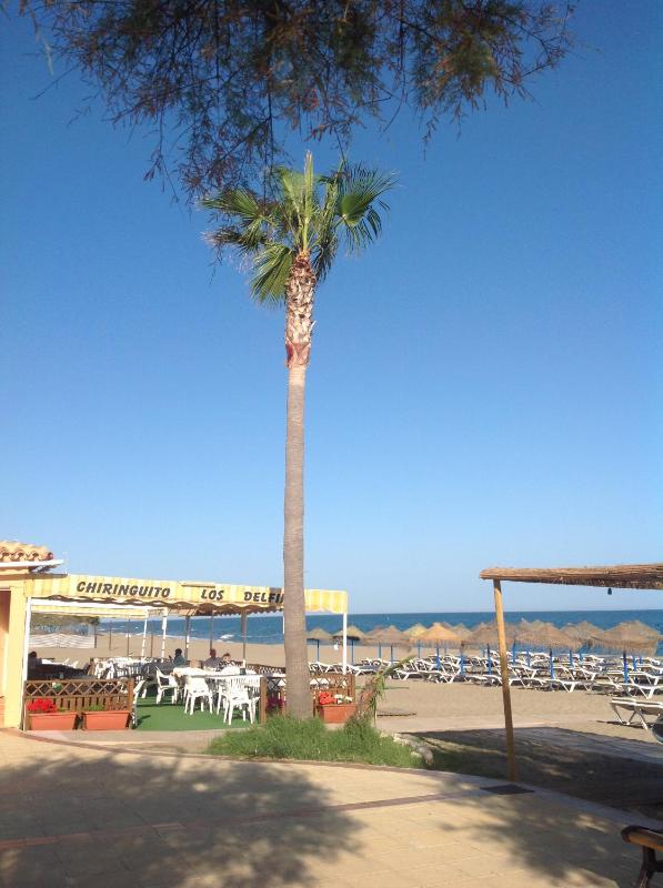 Lets in the Sun Blue Cala - image 48