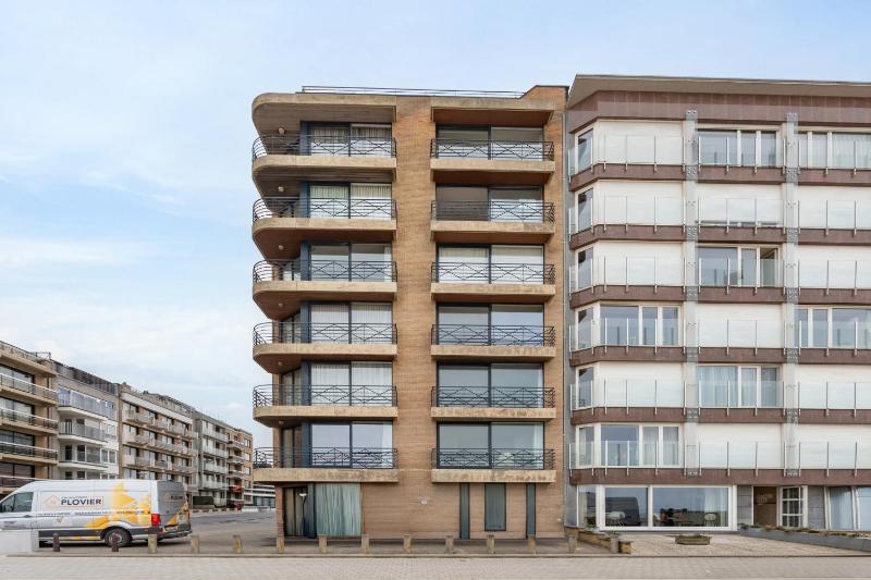Duinroos I G8 - image 17