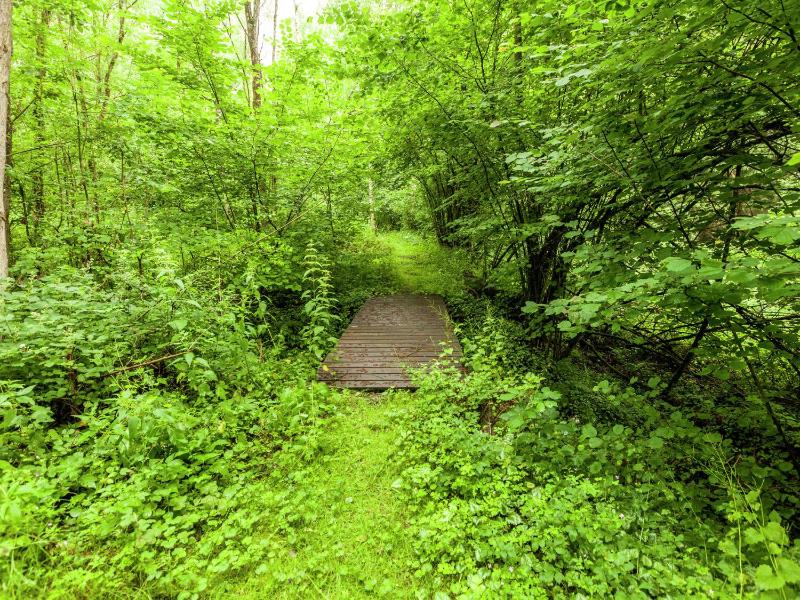 Peaceful Nature Stay in Bohon - image 27