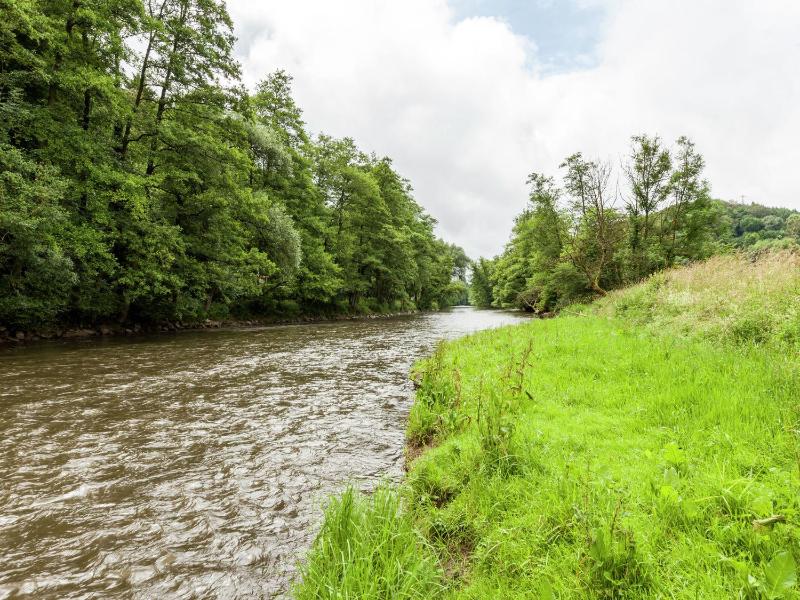 Peaceful Nature Stay in Bohon - image 32