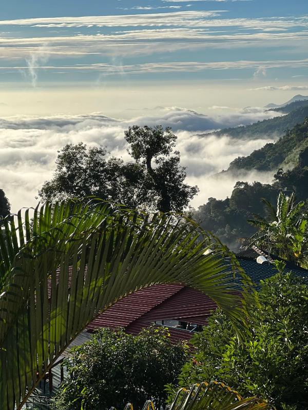 The Misty Heaven - image 16