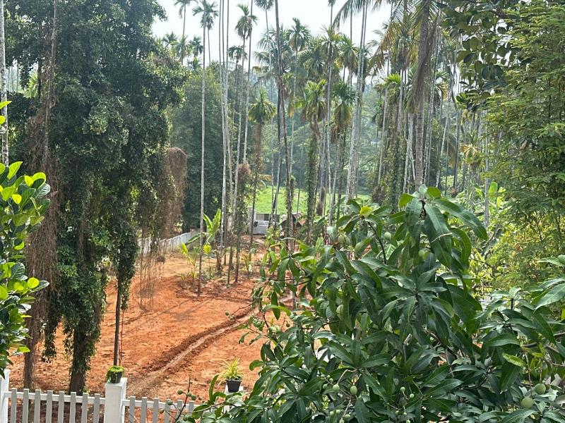 Grace villa - image 3