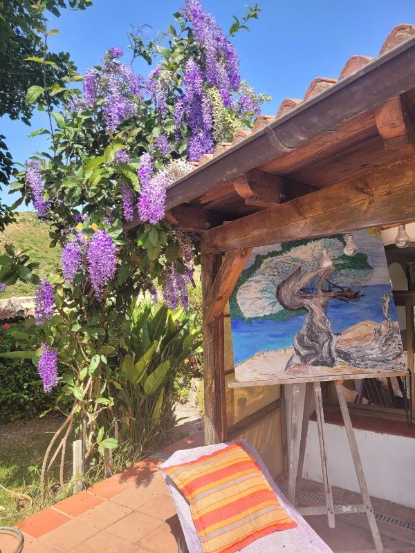 Finca La Ladera - image 27