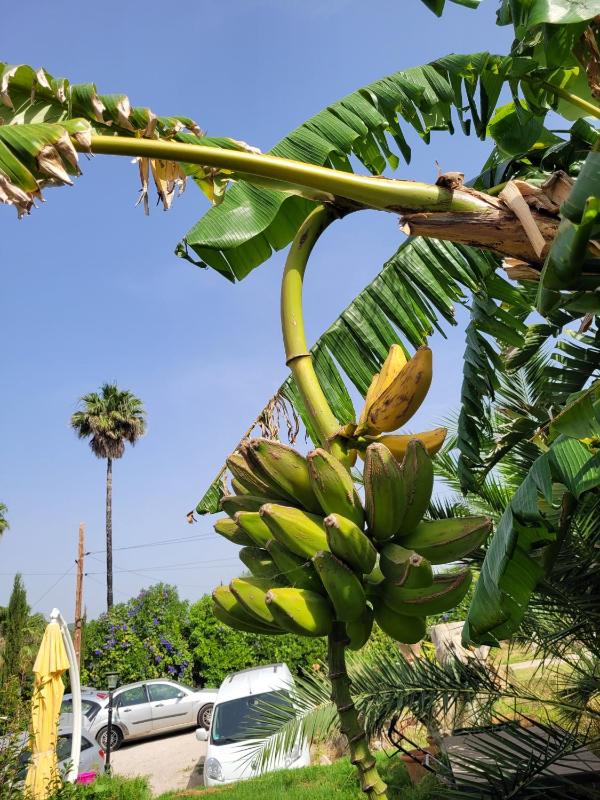 Finca La Ladera - image 25
