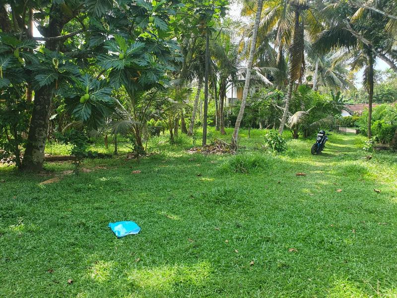 Batheegama Turtle Point Bungalow - image 10