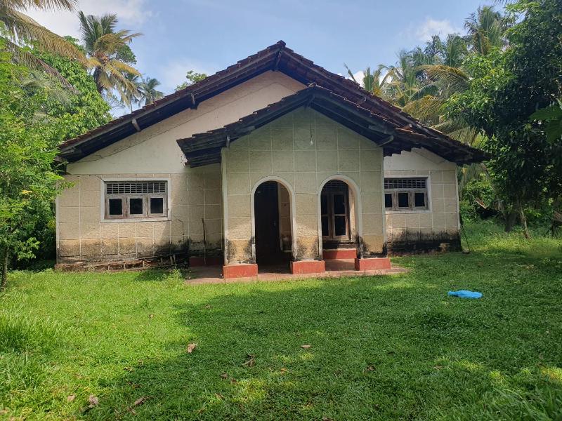 Batheegama Turtle Point Bungalow - image 13